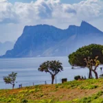 Suelo urbano con vistas panorámicas al mar y proyecto Suelo urbano con vistas panorámicas al mar y proyecto