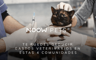 Te puedes deducir gastos veterinarios en estas 4 Comunidades