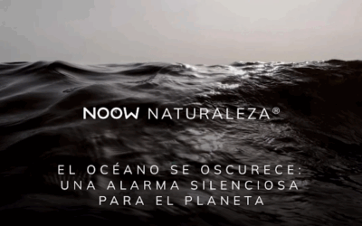 El Océano se Oscurece: Una Alarma Silenciosa para el Planeta